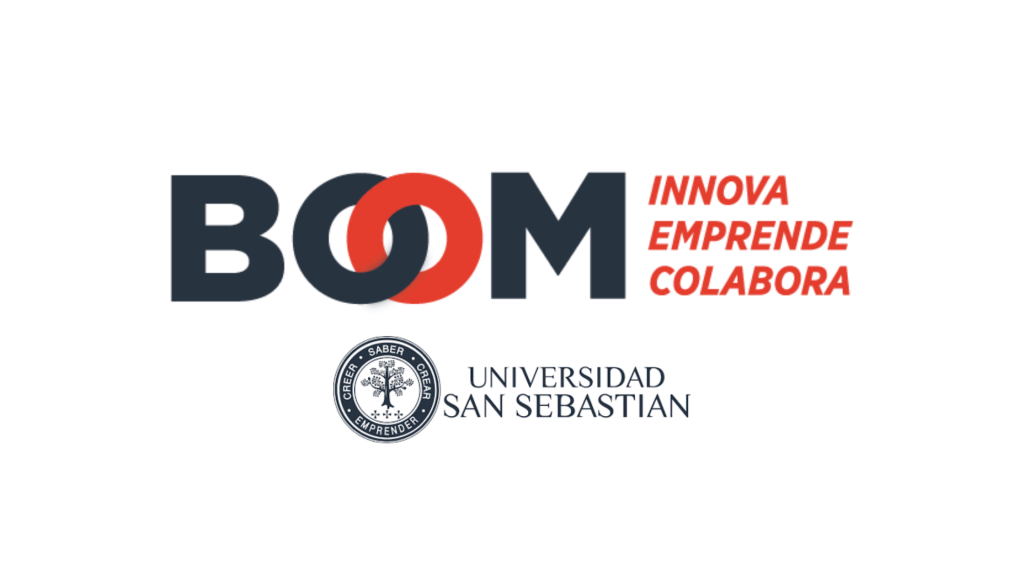 PROYECTO REDES SOCIALESBOOM USS